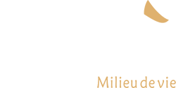 CITTÀ